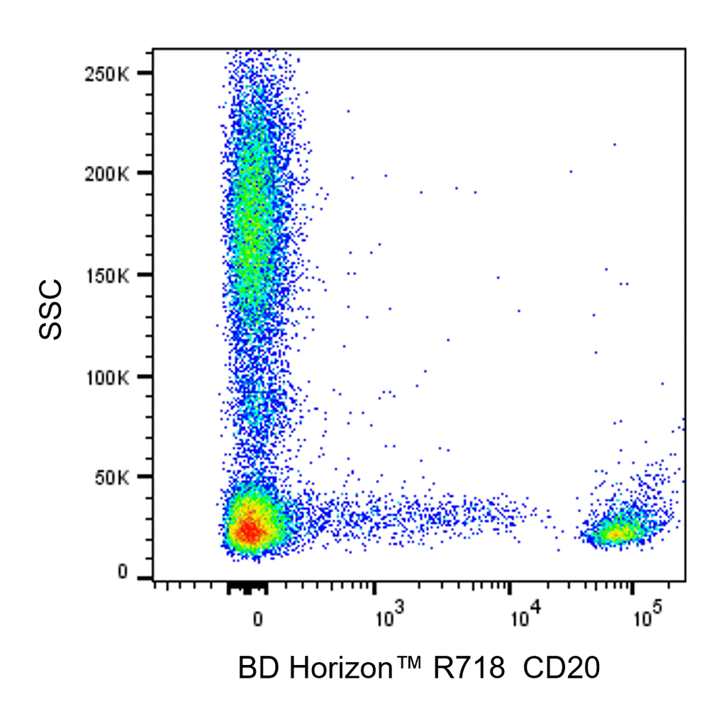 BD R718 Mouse Anti-Human CD20