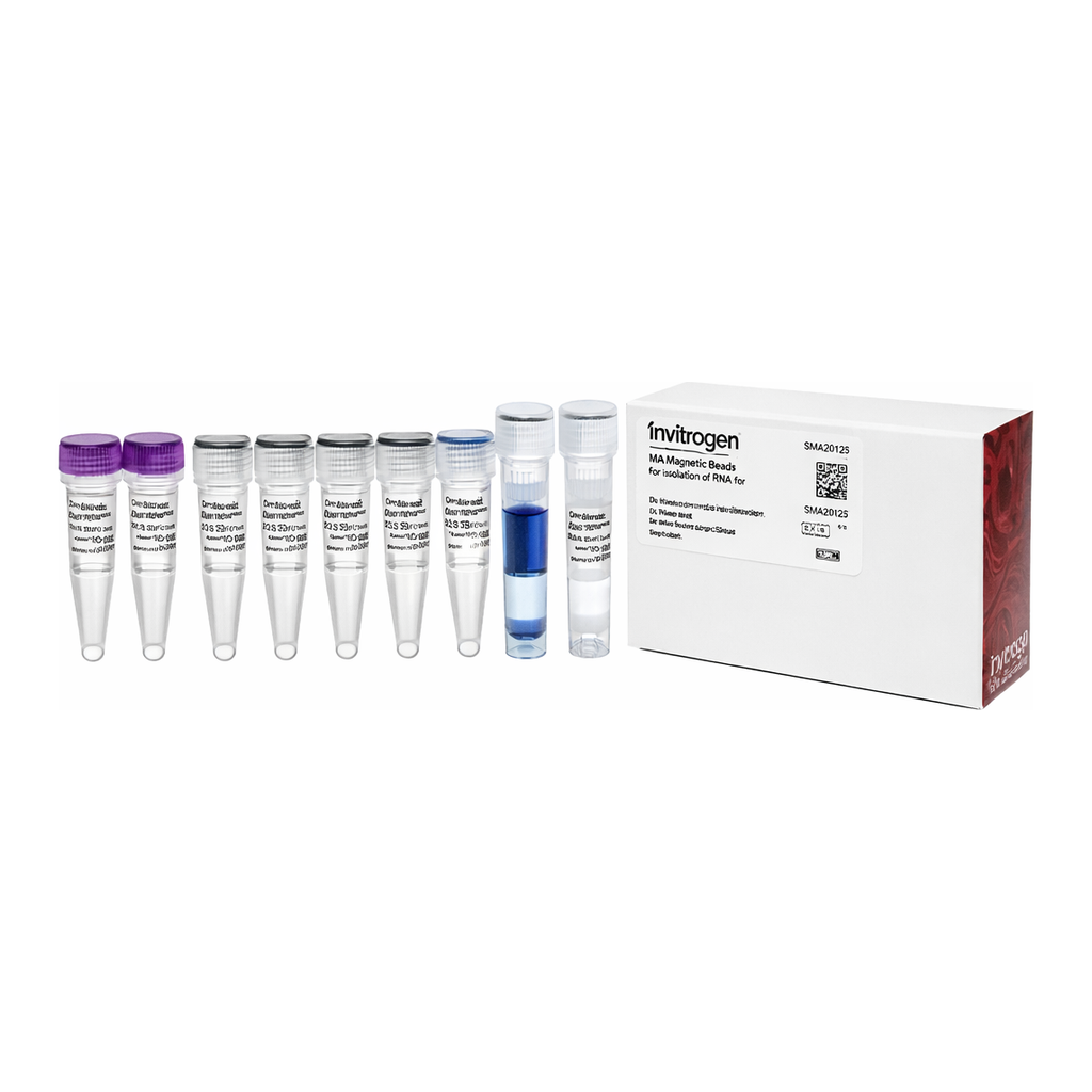 Thermo Fisher Scientific MAXIscript SP6/T7 Transcription Kit, 30 reactions