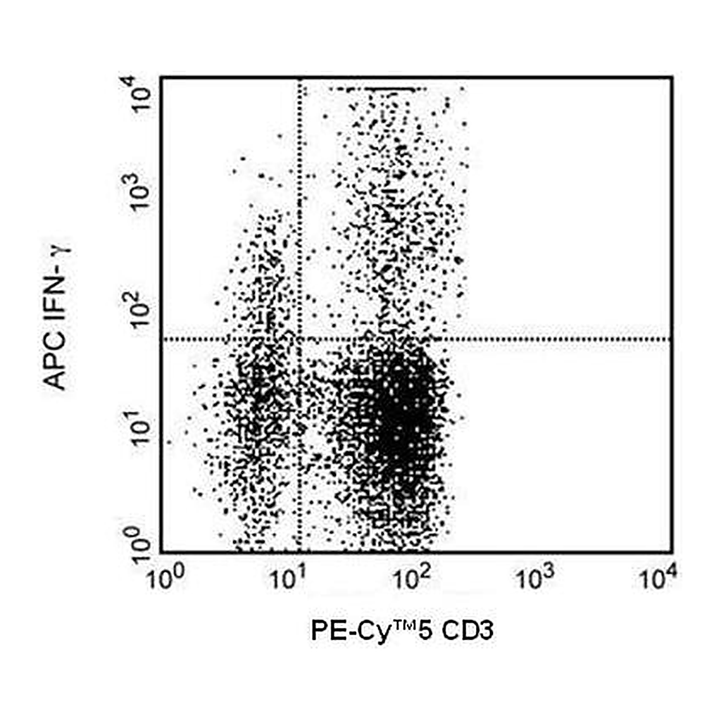 BD APC Mouse Anti-Human IFN-γ