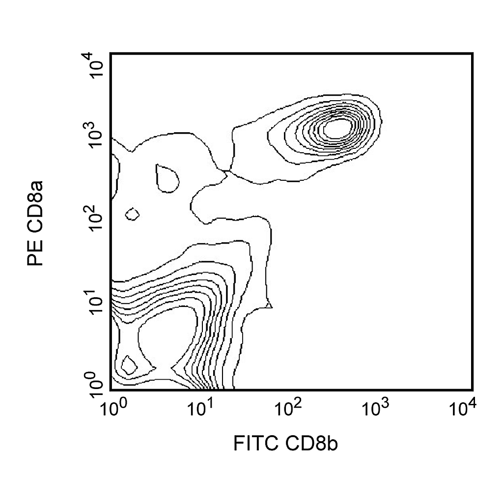 BD FITC Mouse Anti-Rat CD8b
