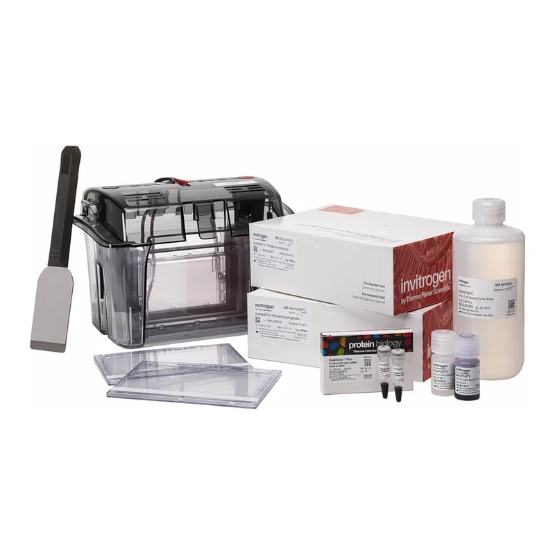 Thermo Fisher Scientific Novex Midi Tris-Glycine Plus Welcome Pack, 4 to 20%, 26-well, 1 Welcome Pk.