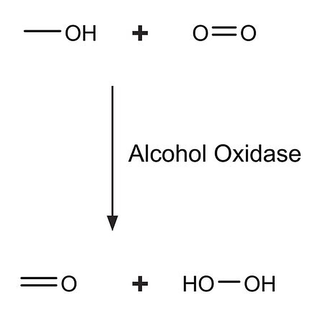 Merck Alcohol Oxidase from Candida boidinii
