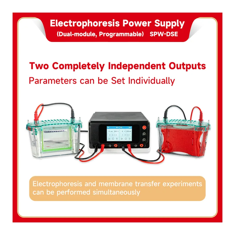 Servicebio Electrophoresis Power Supply (Dual Module, Programmable)