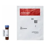 Thermo Fisher Scientific CMNB-Caged Carboxyfluorescein, SE (5-Carboxyfluorescein-Bis-(5-Carboxymethoxy-2-Nitrobenzyl) Ether, β-Alanine-Carboxamide, Succinimidyl Ester)