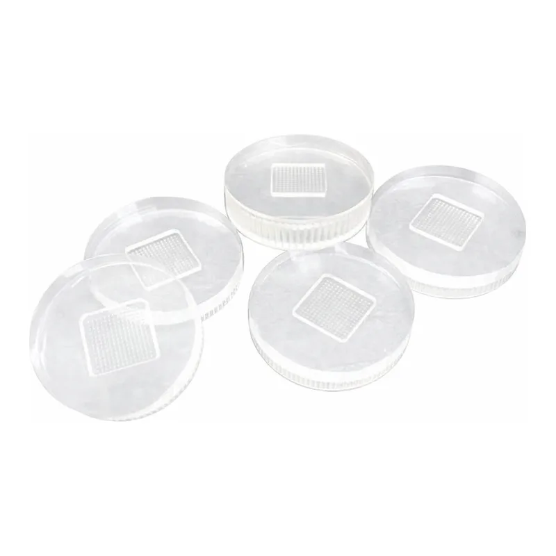 Merck Microneedle template