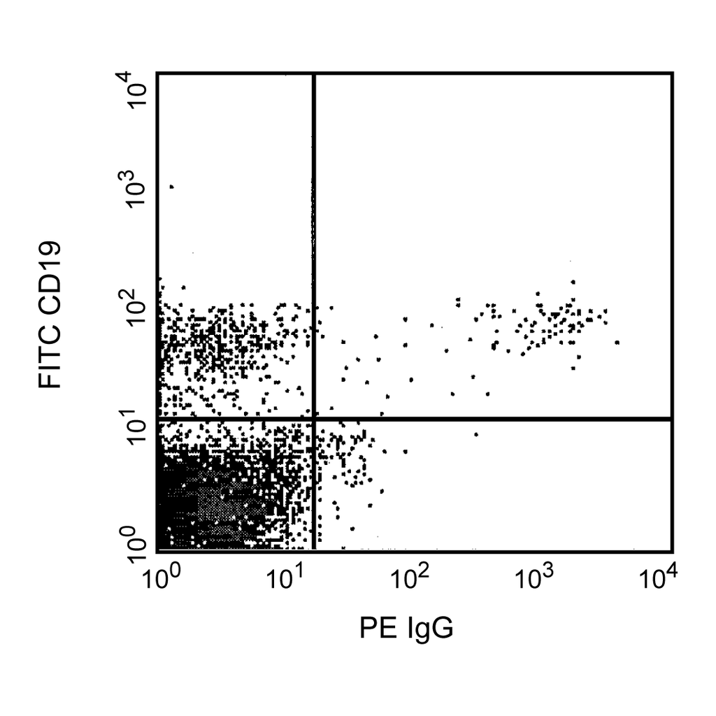 BD PE Mouse Anti-Human IgG