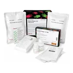 Thermo Fisher Scientific Pierce Protein A/G Coated Plate IP Kit
