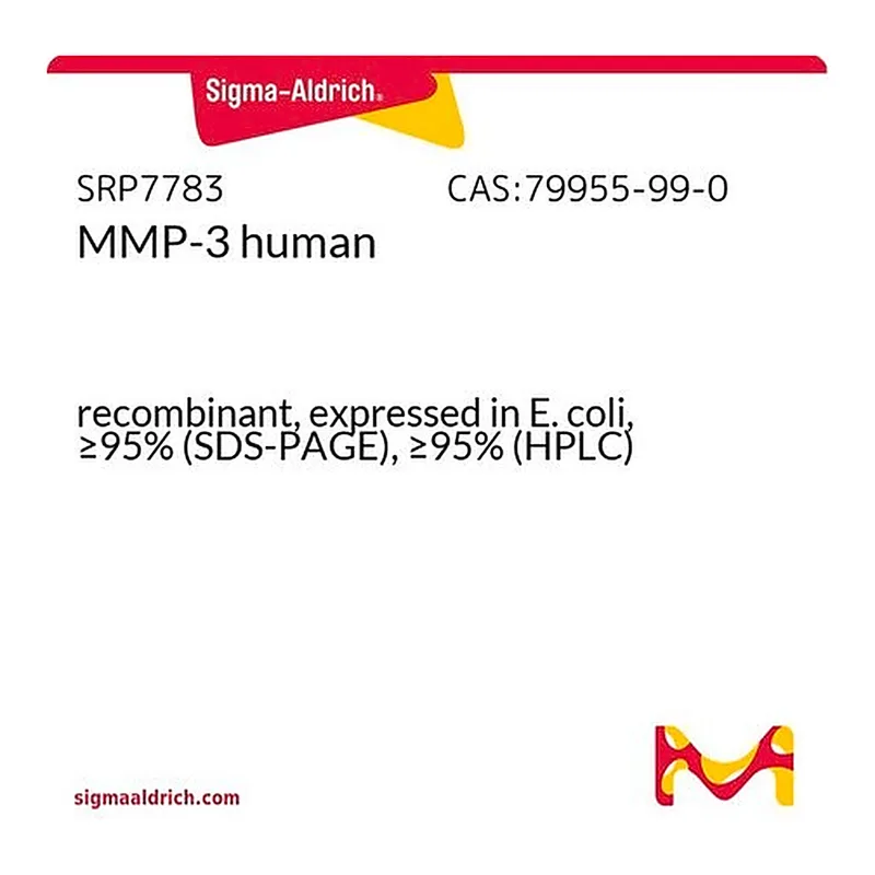 Merck MMP-3 human