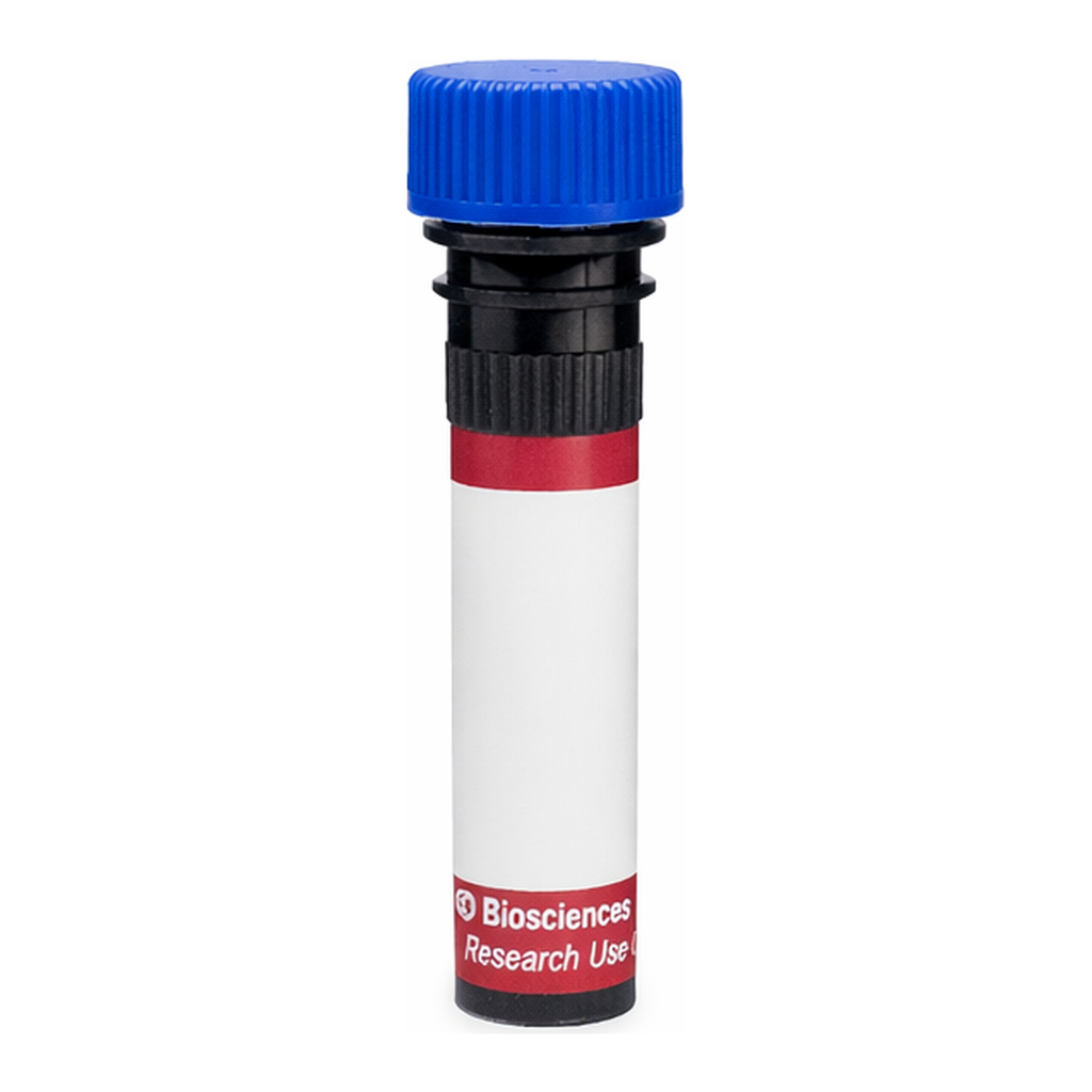 BD R718 Rat Anti-Mouse Vβ 11 T-Cell Receptor