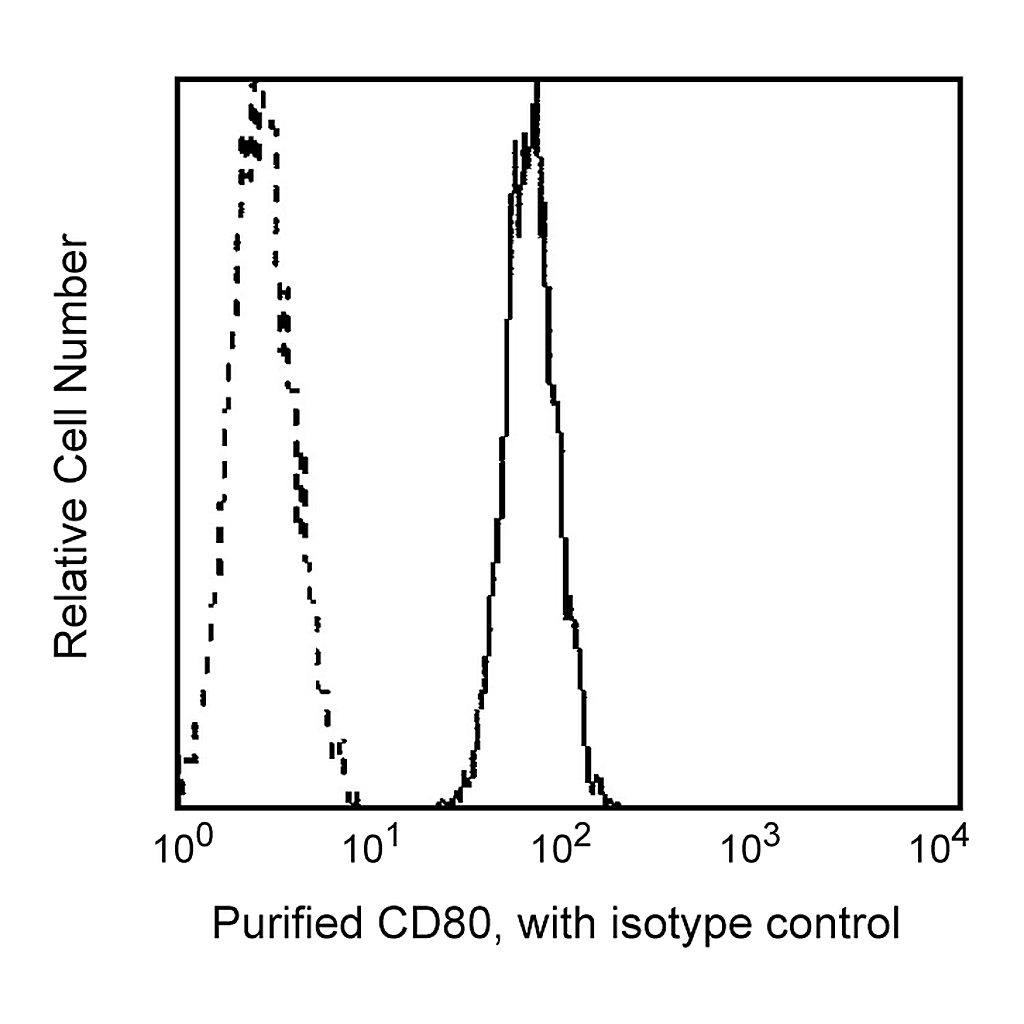 BD Purified Mouse Anti-Human CD80