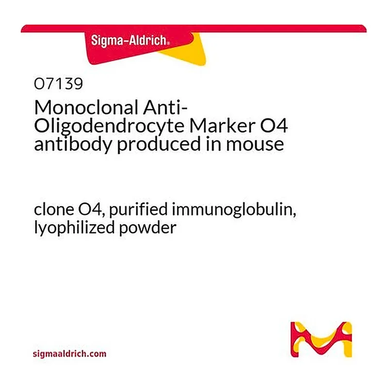 Merck Monoclonal Anti-Oligodendrocyte Marker O4 antibody produced in mouse