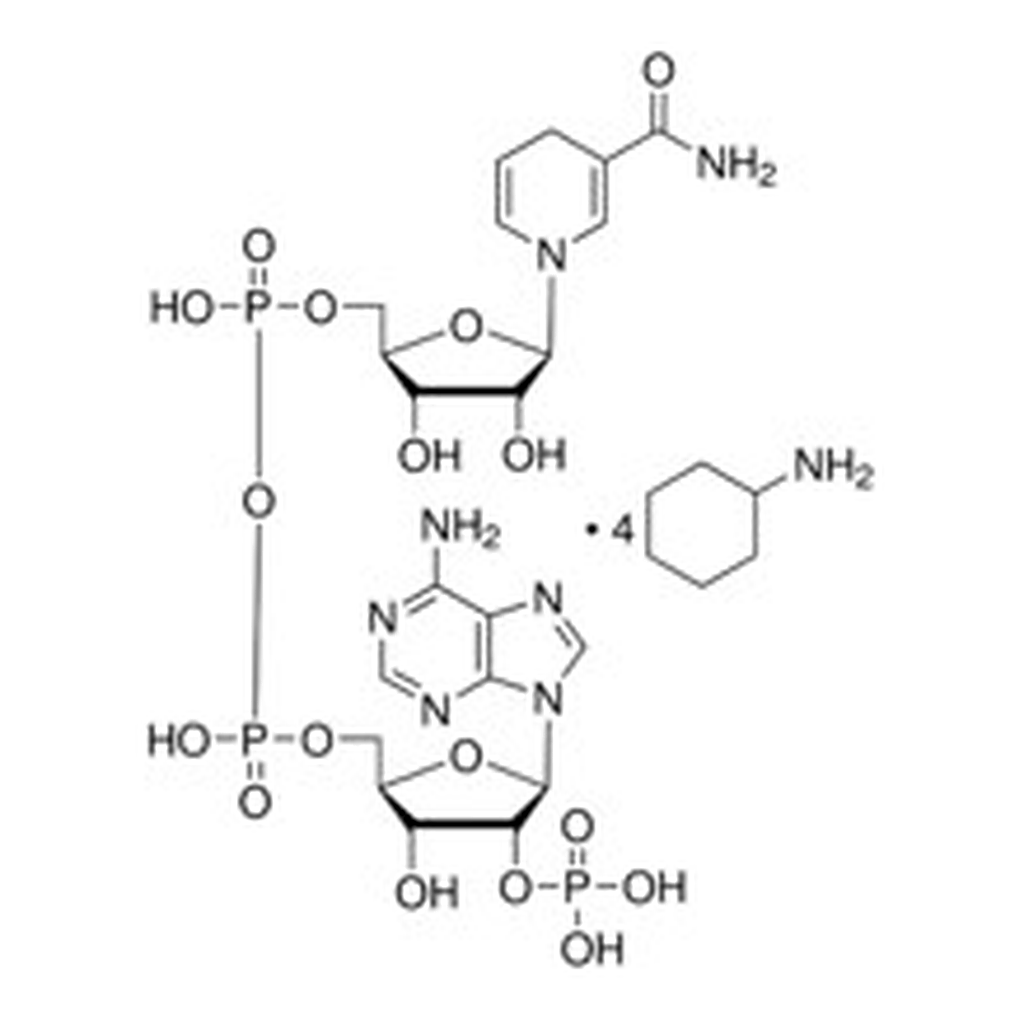 Merck B-NICOTINAMIDE ADENINE DINUCLEOTIDE PHOS