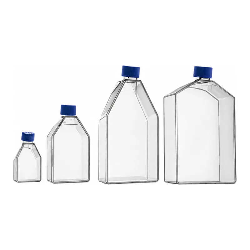 Cell Culture Flasks