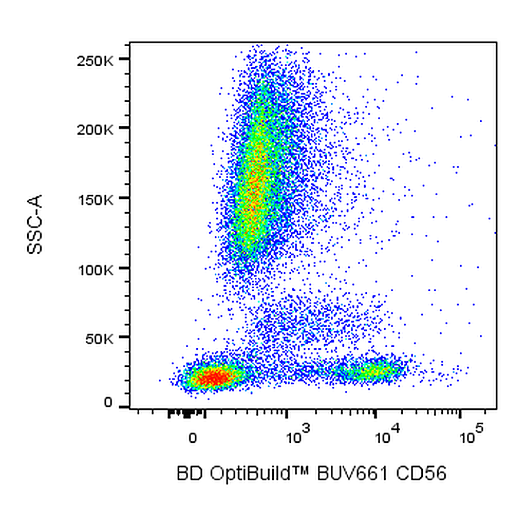 BD BUV661 Mouse Anti-Human CD56