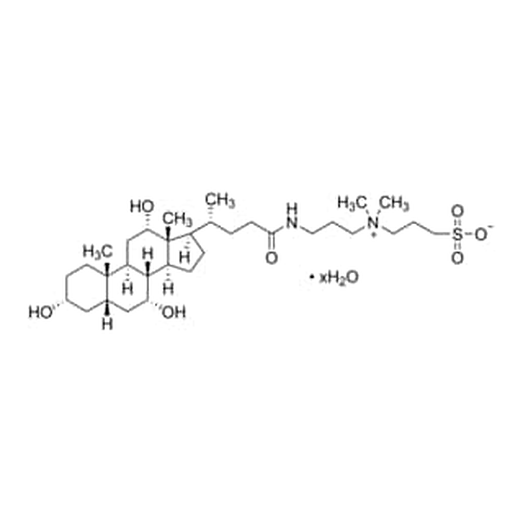 Merck 3-((3-CHOLAMIDOPROPYL)DIMETHYLAMMONIO)-1