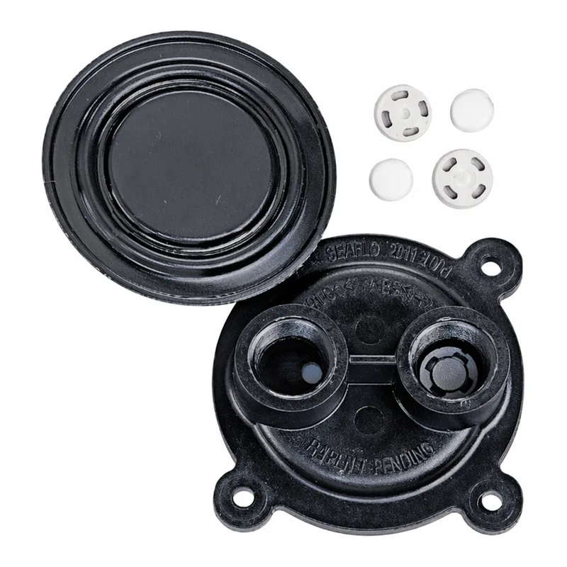 Thermo Fisher Scientific Corrosion-Resistant Pressure/Vacuum Pump Service Kits
