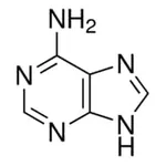 Merck ADENINE , >=99%