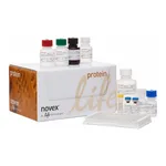 Thermo Fisher Scientific IL-2 Mouse ELISA Kit