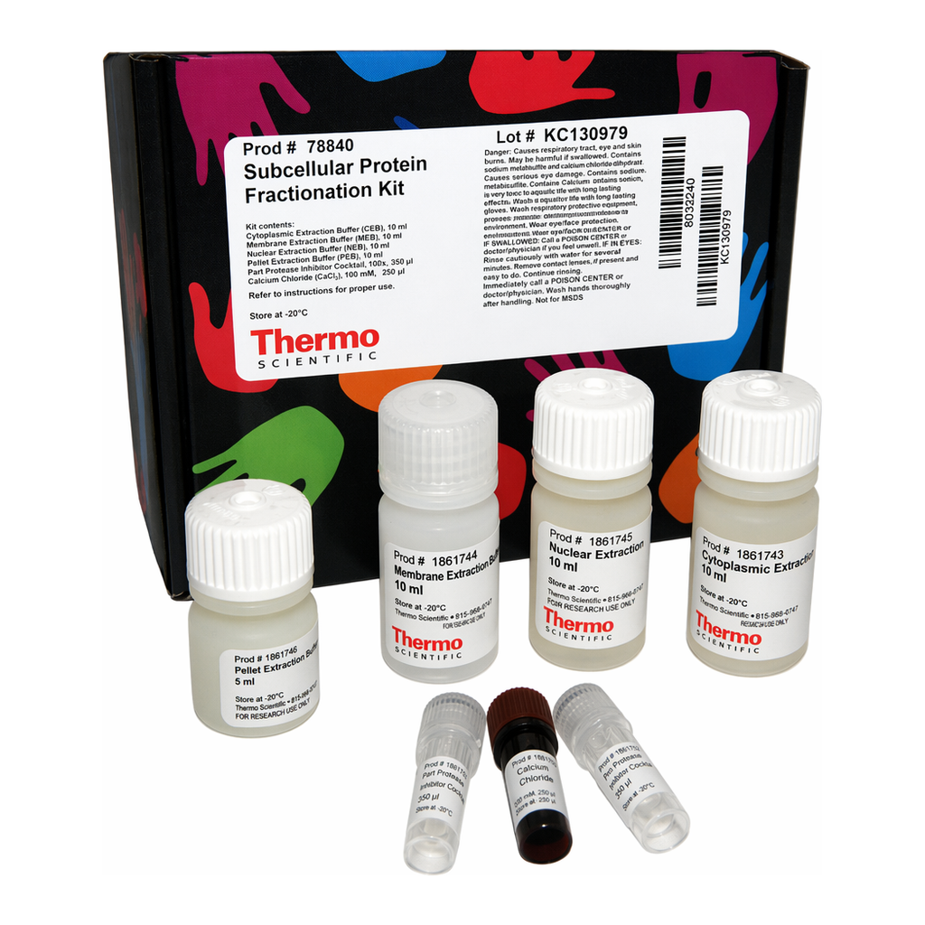 Thermo Fisher Scientific Subcellular Protein Fractionation Kit for Cultured Cells