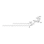 Merck C24:1 Mono-sulfo galactosyl (alpha) ceramide (d18:1/24:1)