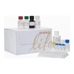 Thermo Fisher Scientific IL-5 Mouse ELISA Kit