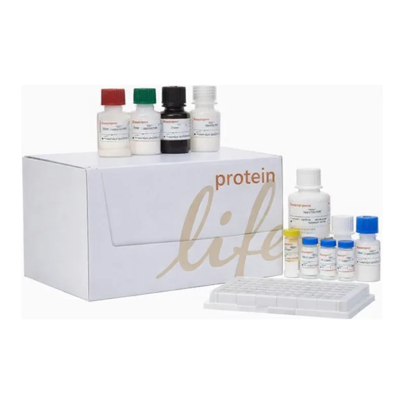 Thermo Fisher Scientific IL-5 Mouse ELISA Kit
