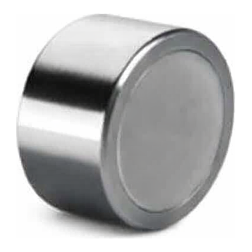 Waters XBridge BEH Phenyl Prep Guard Cartridge, 130Å, 5 µm, 19 mm X 10 mm, 1/pk