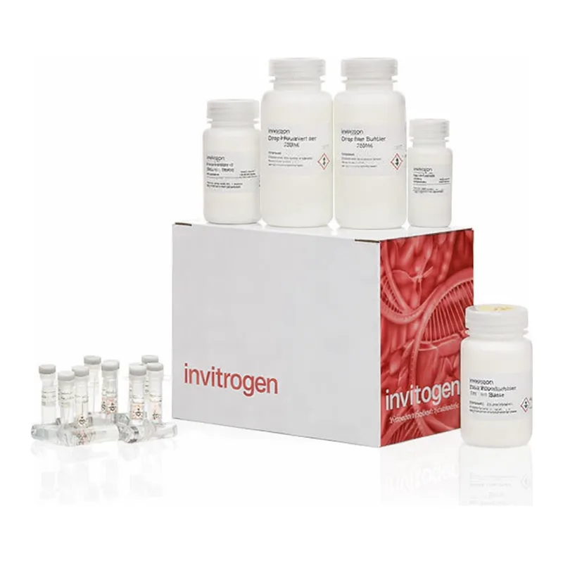 Thermo Fisher Scientific JetFlex Genomic DNA Purification Kit, 100 Preps