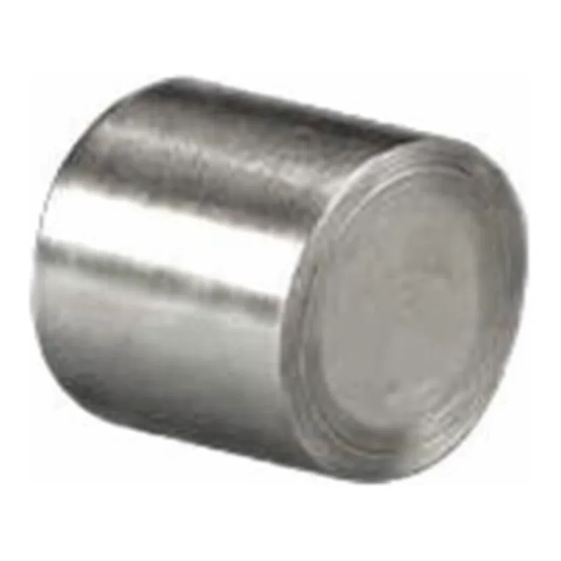 Waters Atlantis T3 Prep Guard Cartridge, 100Å, 10 µm, 10 mm X 10 mm, 1/pk
