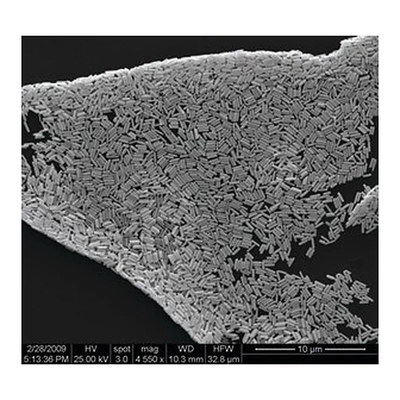 Merck GOLD MICRORODS, DIAM. X L 200 NM X 1,00&