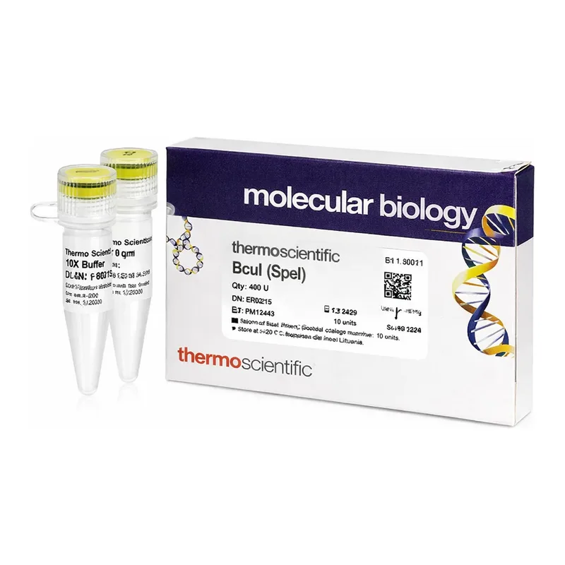 Thermo Fisher Scientific BcuI (SpeI) (10 U/μL), 400 units