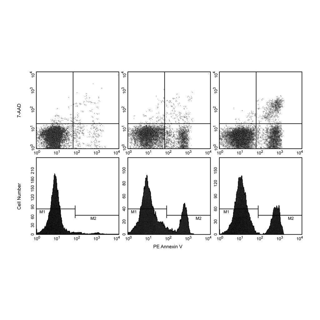 BD PE Annexin V