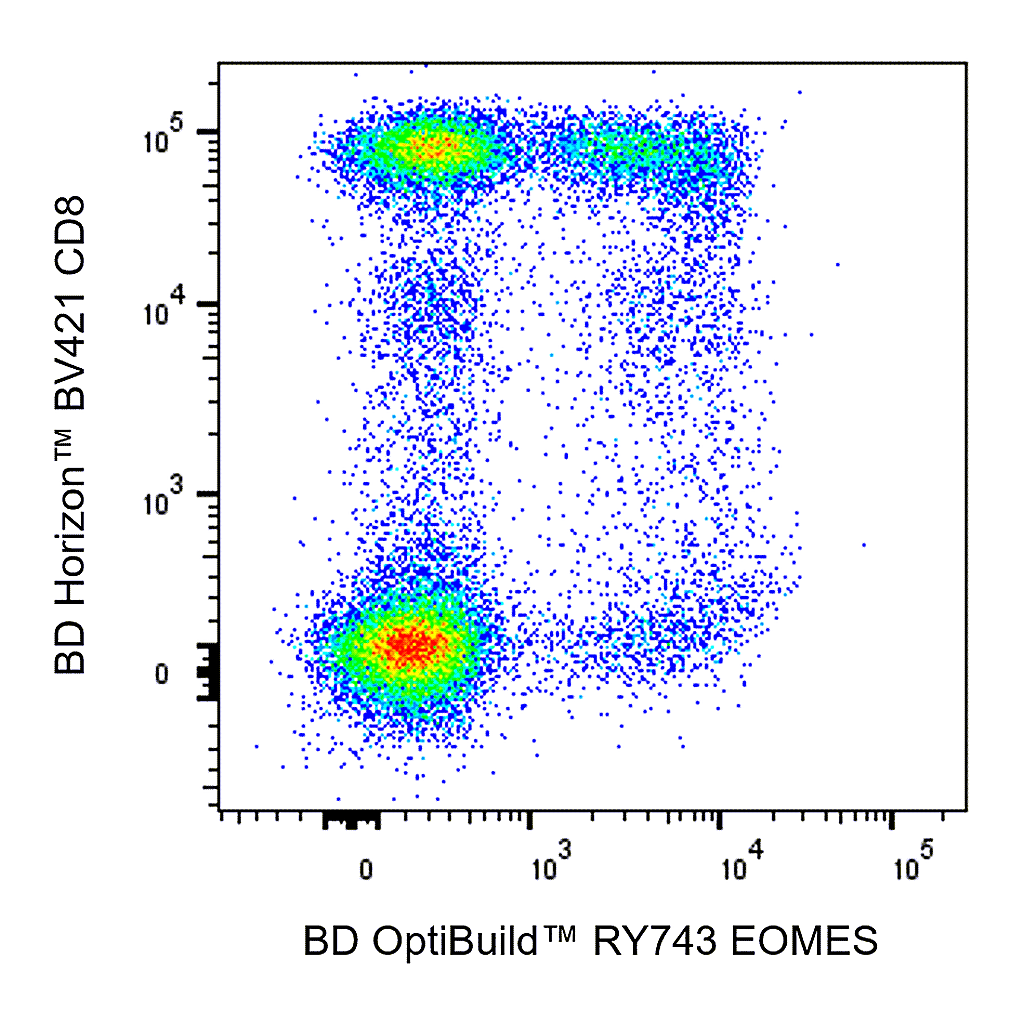 BD RY743 Mouse Anti-EOMES