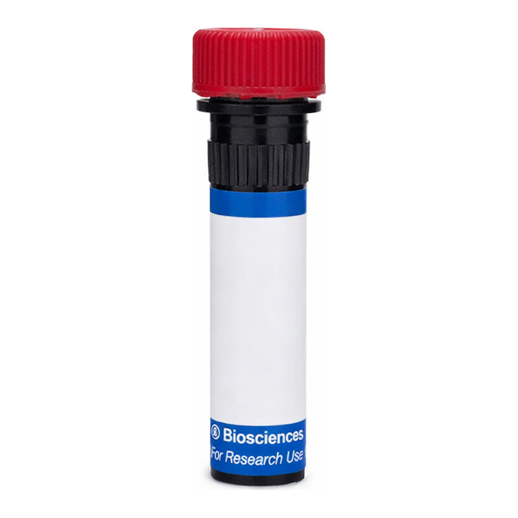 BD RB670 Mouse Anti-Human CD71 (Transferrin Receptor)