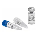 Waters GlycoWorks Rapid Deglycosylation Kit - 1 x 24
