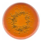 Merck SS-AgarNutriSelect Plus