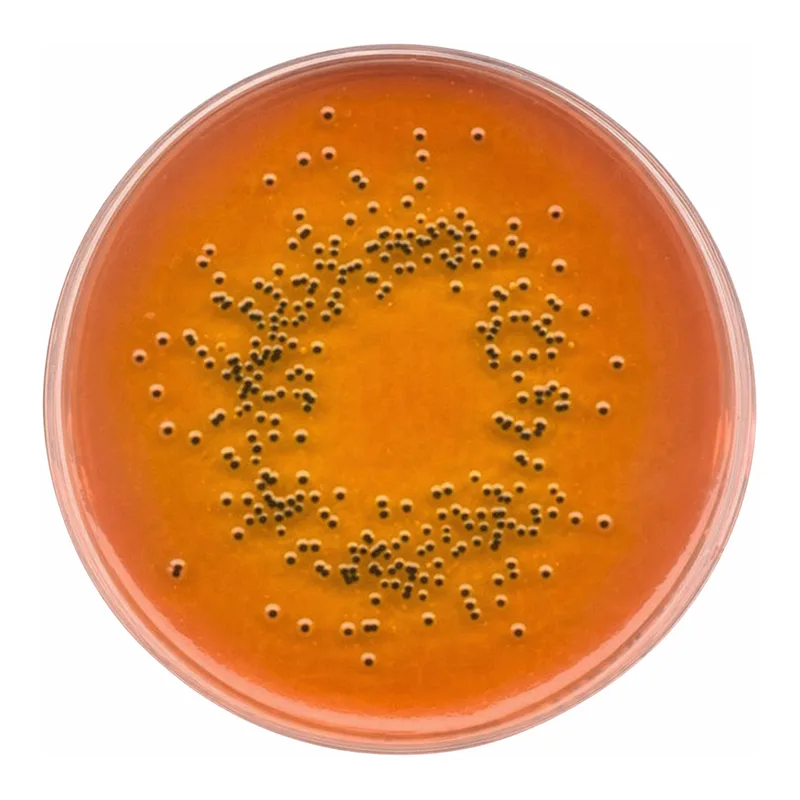 Merck SS-AgarNutriSelect Plus