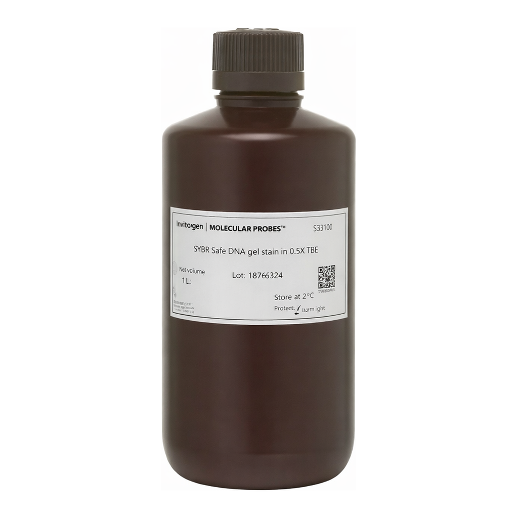 Thermo Fisher Scientific SYBR Safe DNA Gel Stain in 0.5X TBE, 1 L