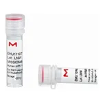 Merck MISSION(R) esiRNA