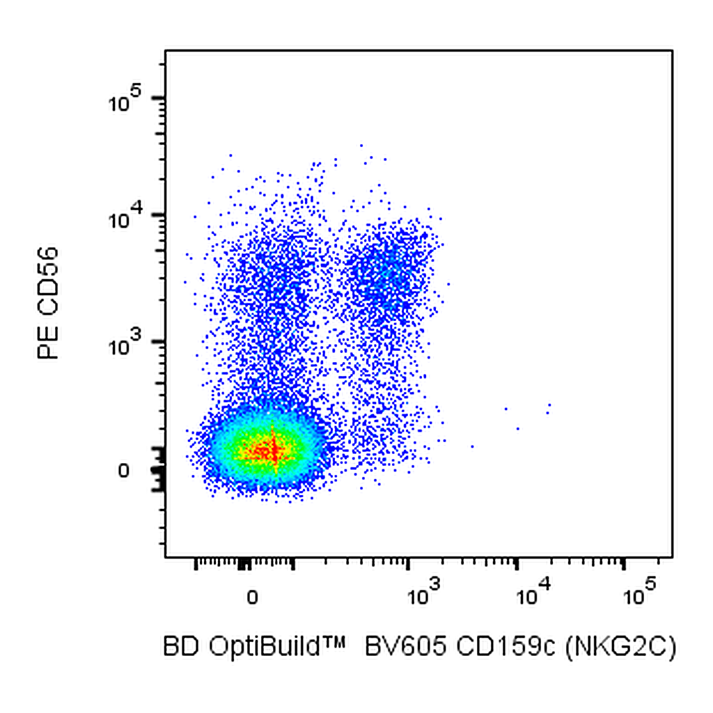 BD BV605 Mouse Anti-Human CD159c (NKG2C)