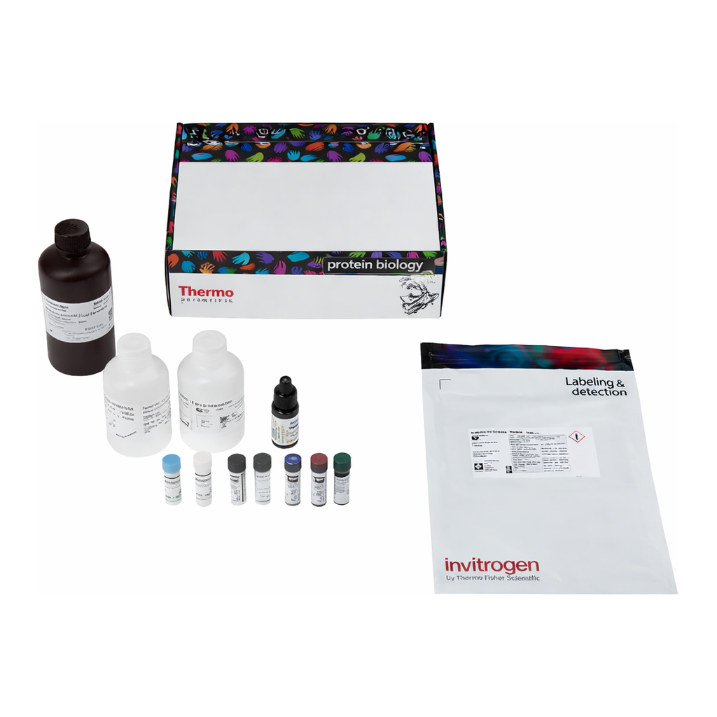 Thermo Fisher Scientific eBioscience Immune Response T Cell Receptor Signaling Kit