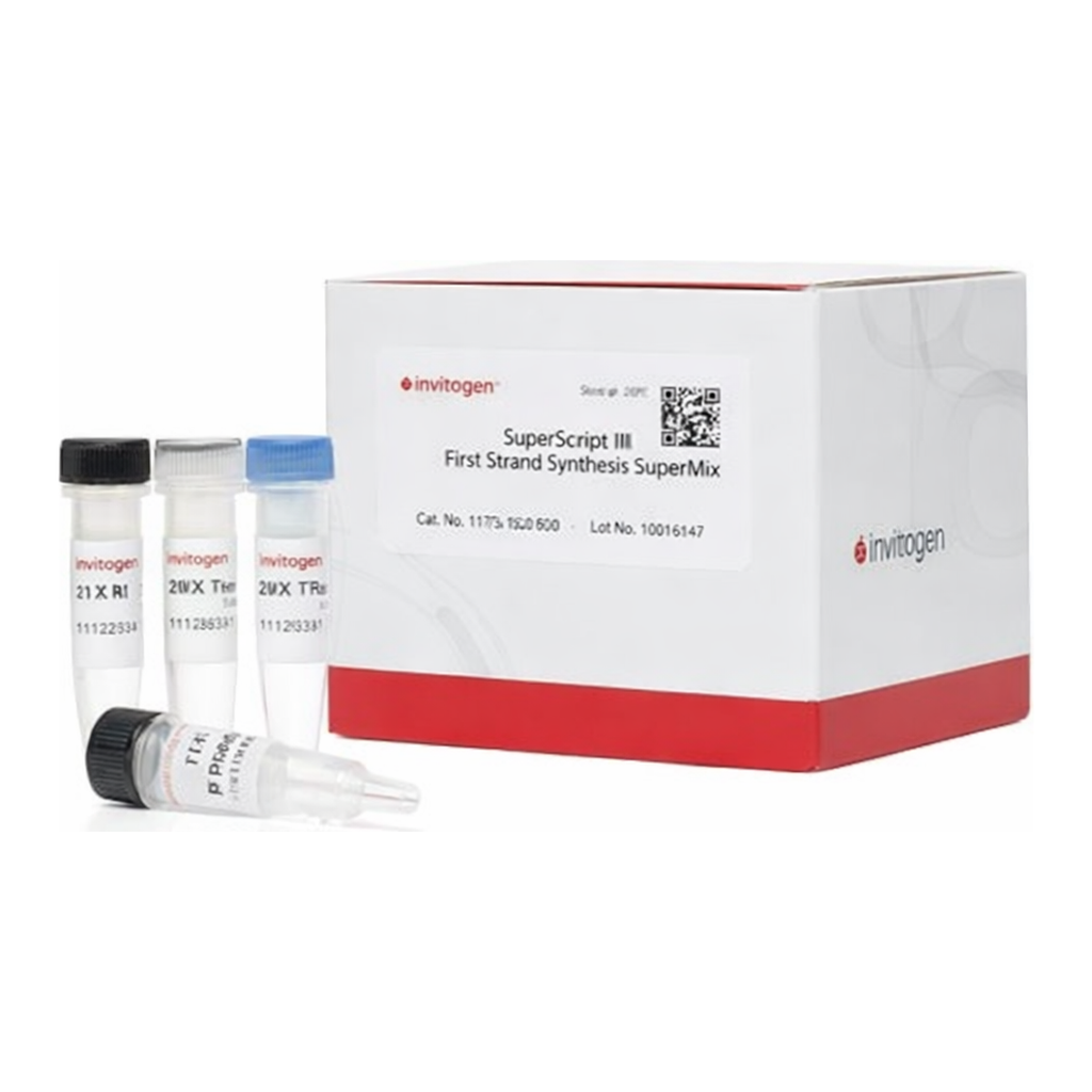 Thermo Fisher Scientific SuperScript III First-Strand Synthesis SuperMix for qRT-PCR, 50 rxns