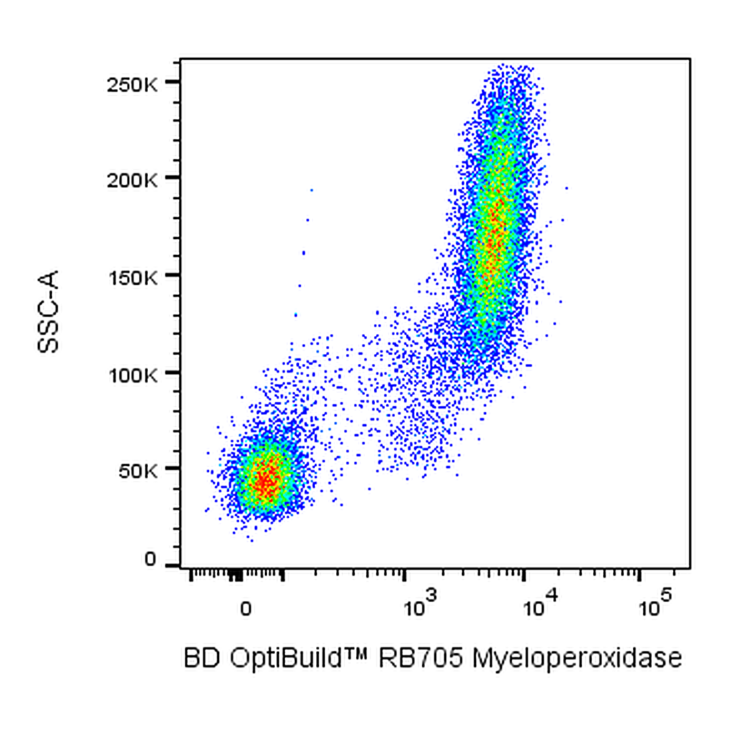 BD RB705 Mouse Anti-Human Myeloperoxidase