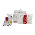 Thermo Fisher Scientific TOPO TA Cloning Kit for Sequencing, with pCR4-TOPO Vector, One Shot TOP10 Chemically Competent E. coli, and PureLink Quick Plasmid Miniprep Kit