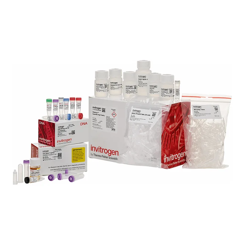 Thermo Fisher Scientific TOPO TA Cloning Kit for Sequencing, with pCR4-TOPO Vector, One Shot TOP10 Chemically Competent E. coli, and PureLink Quick Plasmid Miniprep Kit
