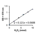 Merck Xanthine Oxidase from bovine milk