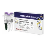 Thermo Fisher Scientific FastDigest HincII
