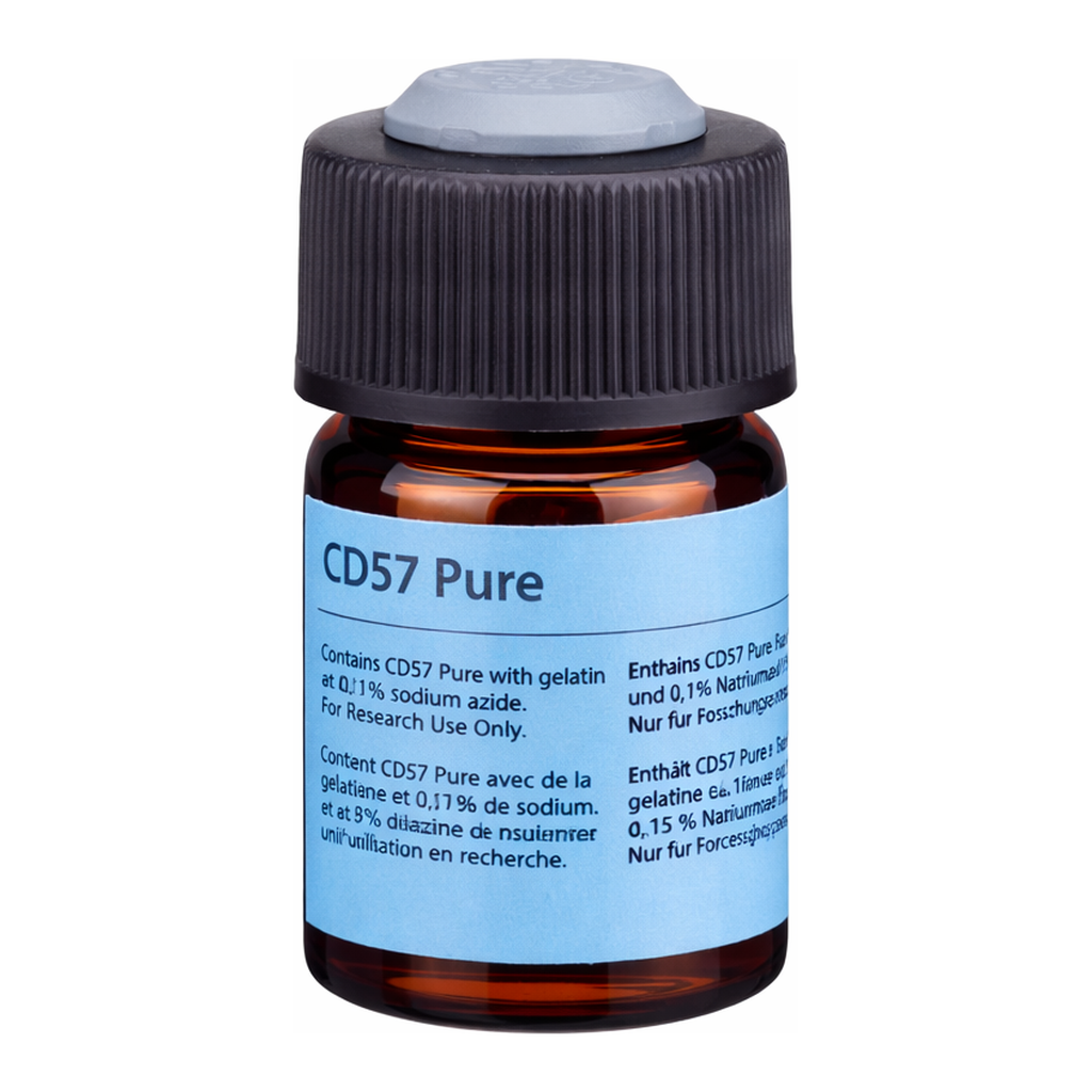 BD Purified Mouse Anti-Human CD57
