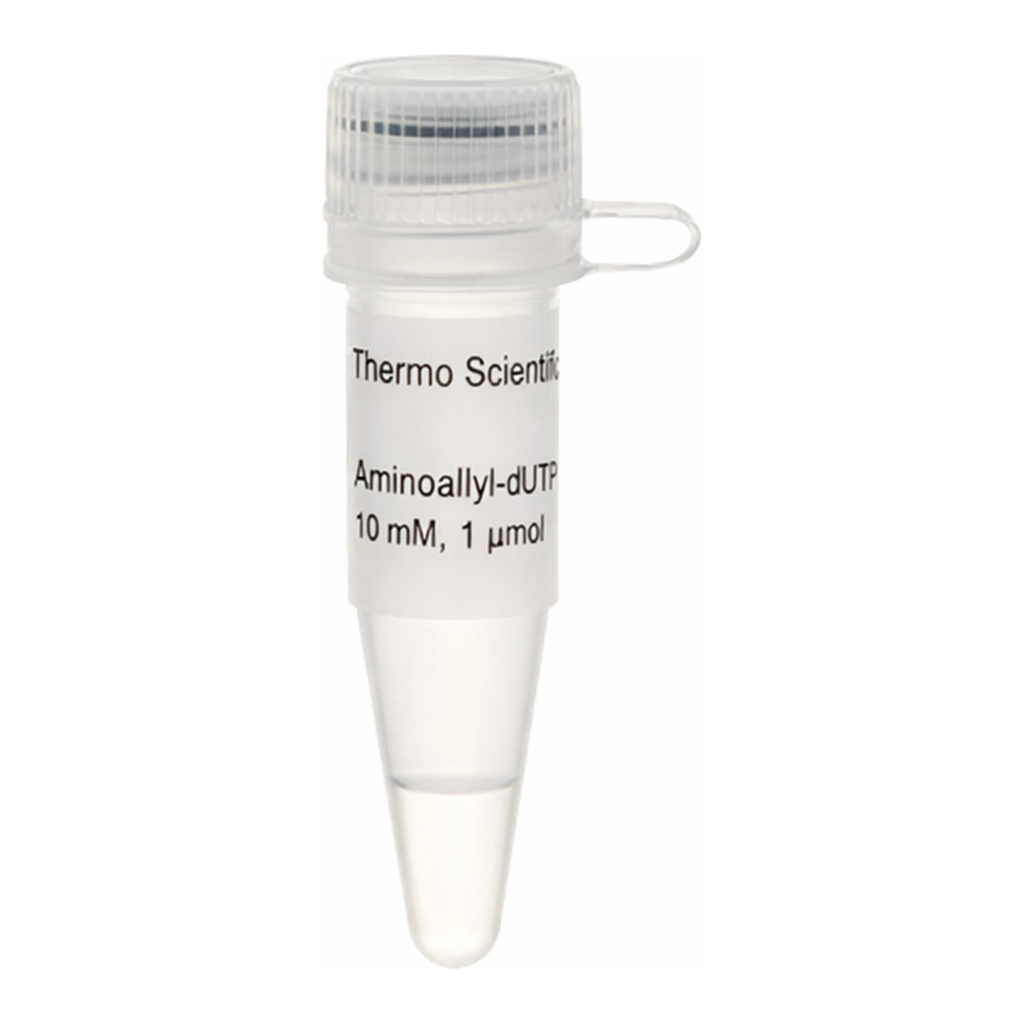 Thermo Fisher Scientific Aminoallyl-dUTP Solution (10 mM)