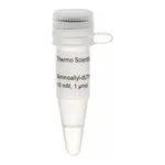 Thermo Fisher Scientific Aminoallyl-dUTP Solution (10 mM)